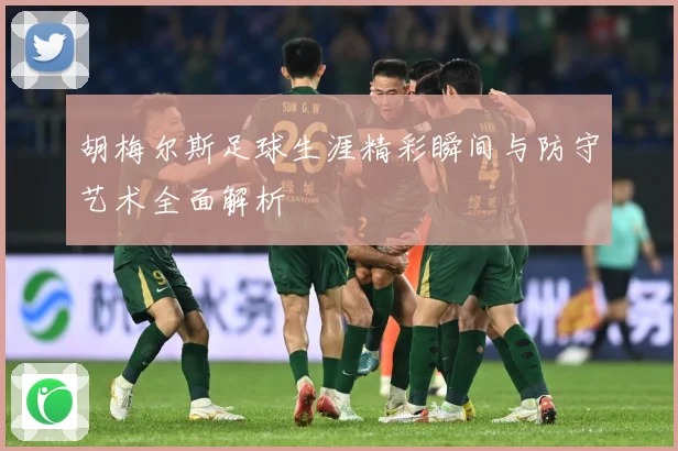 胡梅尔斯足球生涯精彩瞬间与防守艺术全面解析