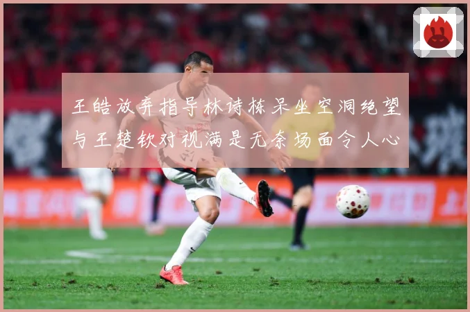 王皓放弃指导林诗栋呆坐空洞绝望与王楚钦对视满是无奈场面令人心赛场解读