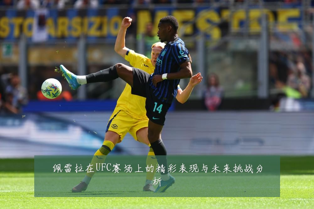 佩雷拉在UFC赛场上的精彩表现与未来挑战分析